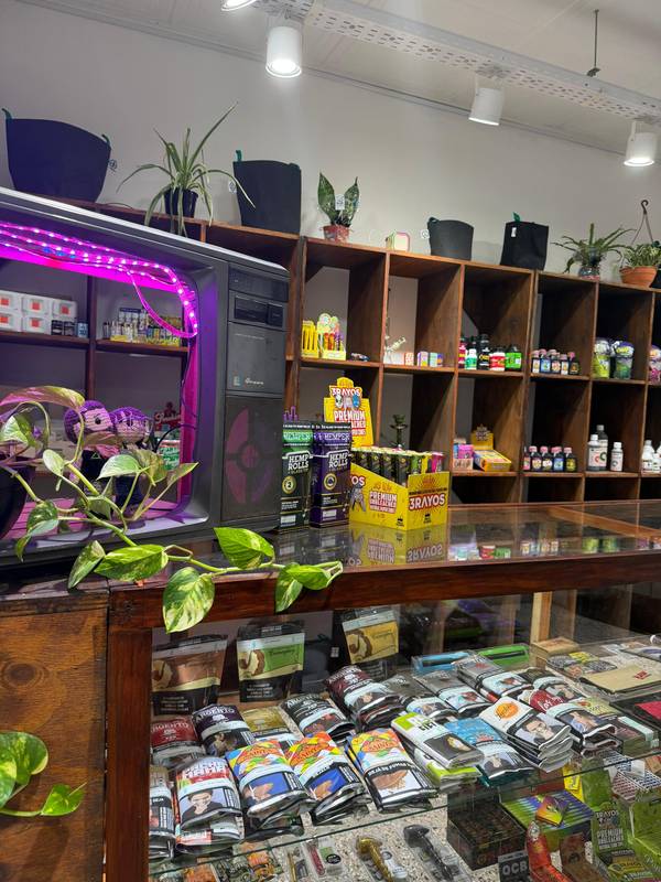 Mostrador y productos del local Breathe